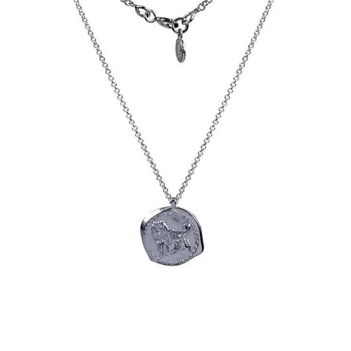 Necklace 'Zodiac Silver Matt' 