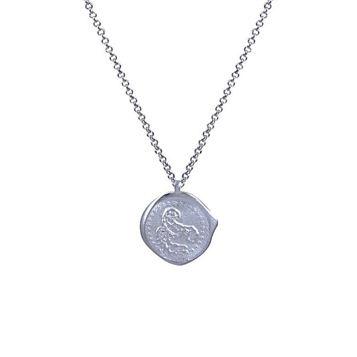 Necklace 'Zodiac Silver Matt' 