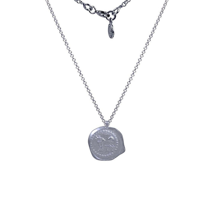 Necklace 'Zodiac Silver Matt' 