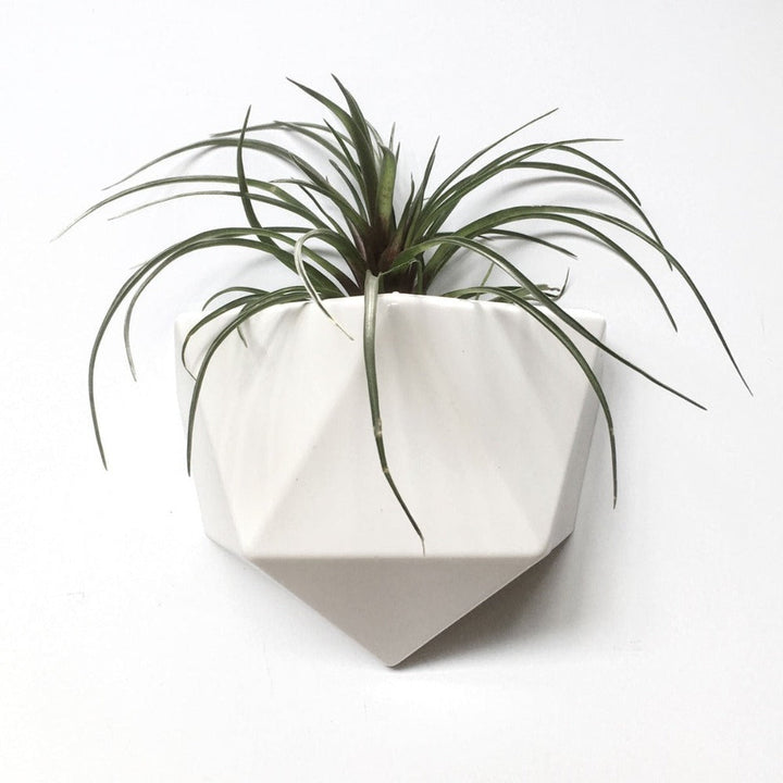 ICO - magnetic flower pot | Groovy Magnets