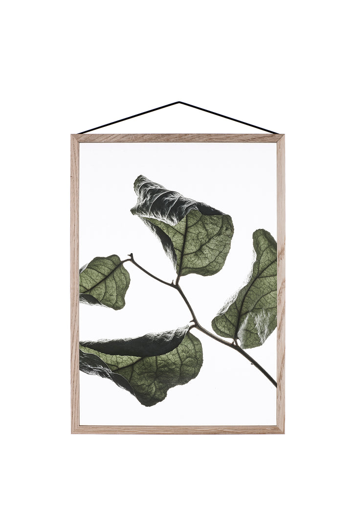 Transparent Poster - FLOATING LEAVES | Moebe