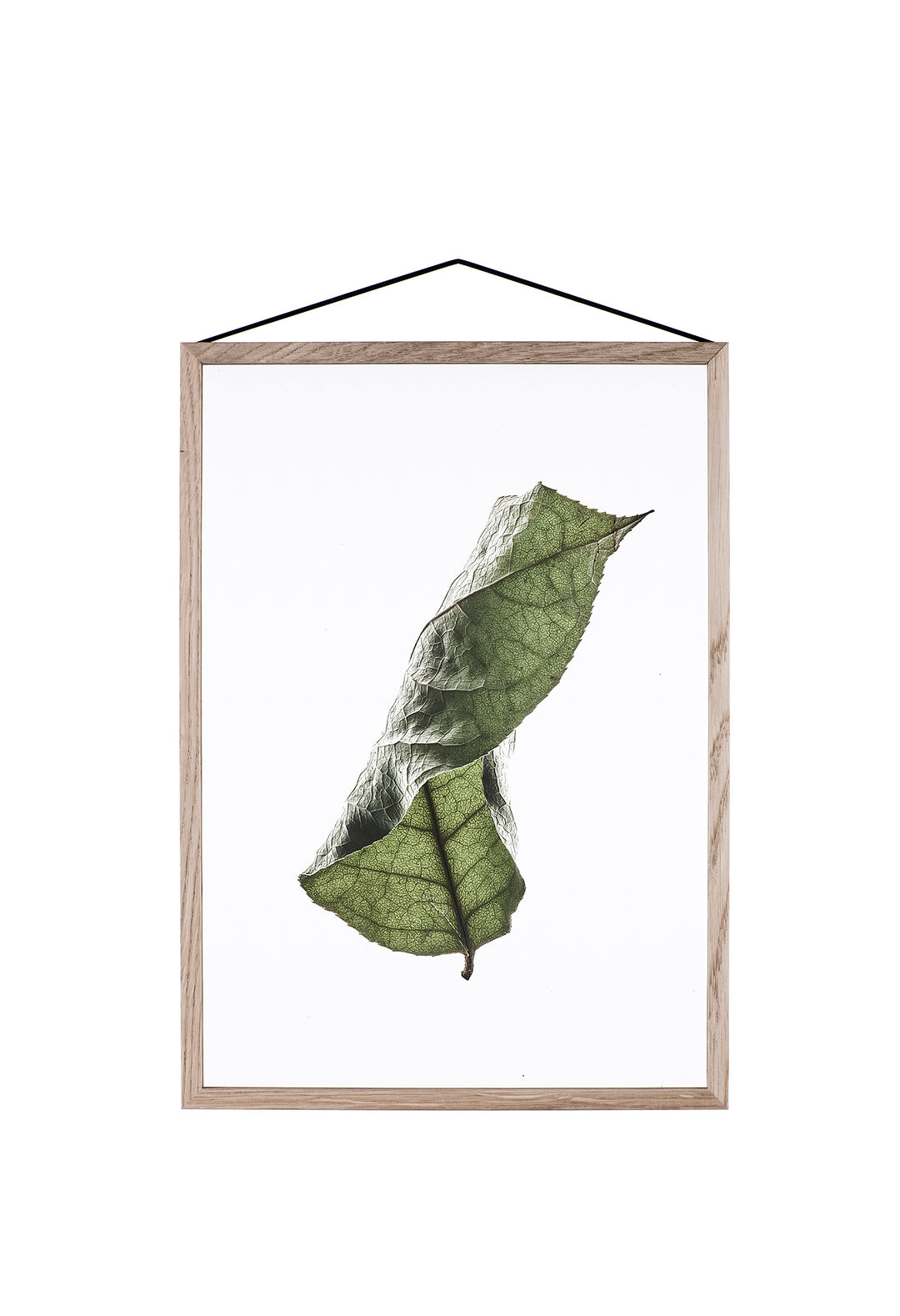 Transparent Poster - FLOATING LEAVES | Moebe