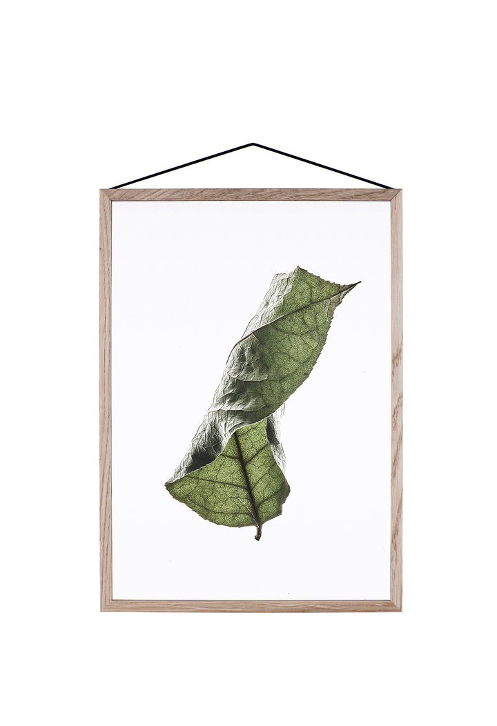 Durchsichtiges Poster - FLOATING LEAVES | Moebe