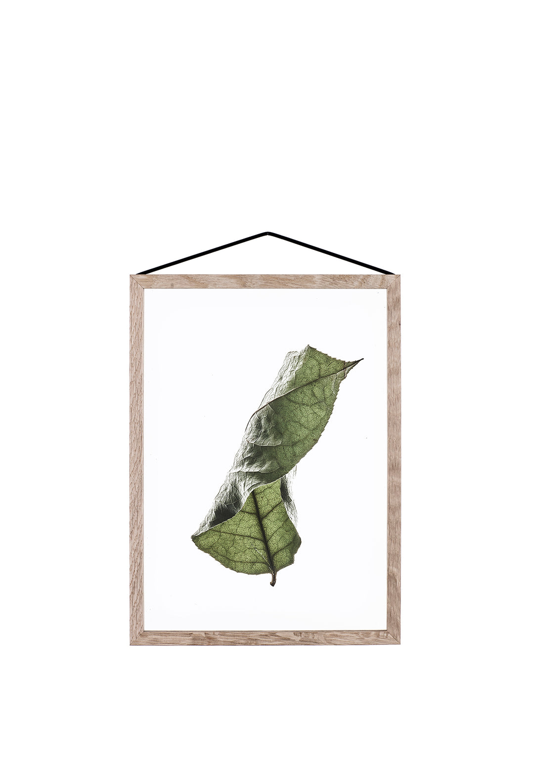 Transparent Poster - FLOATING LEAVES | Moebe