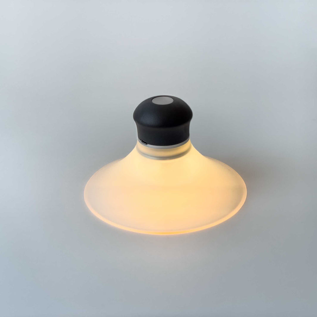 Battery lamp with suction cup | Neozoon