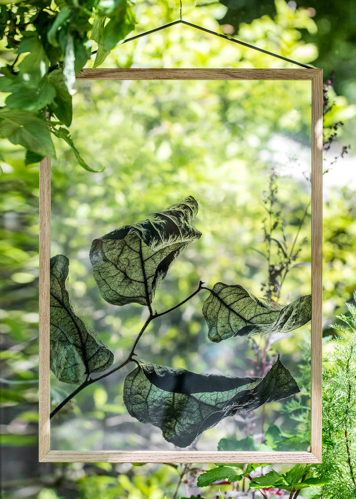 Transparent Poster - FLOATING LEAVES | Moebe