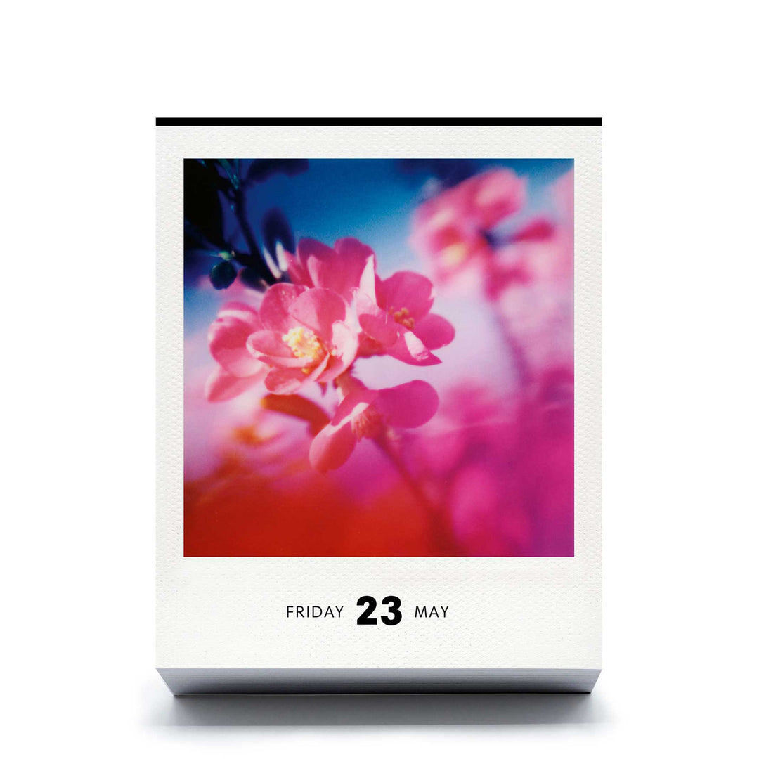 PHOTODARIUM 2025 - Polaroid Calendar - 9x11 cm | seltmann+söhne