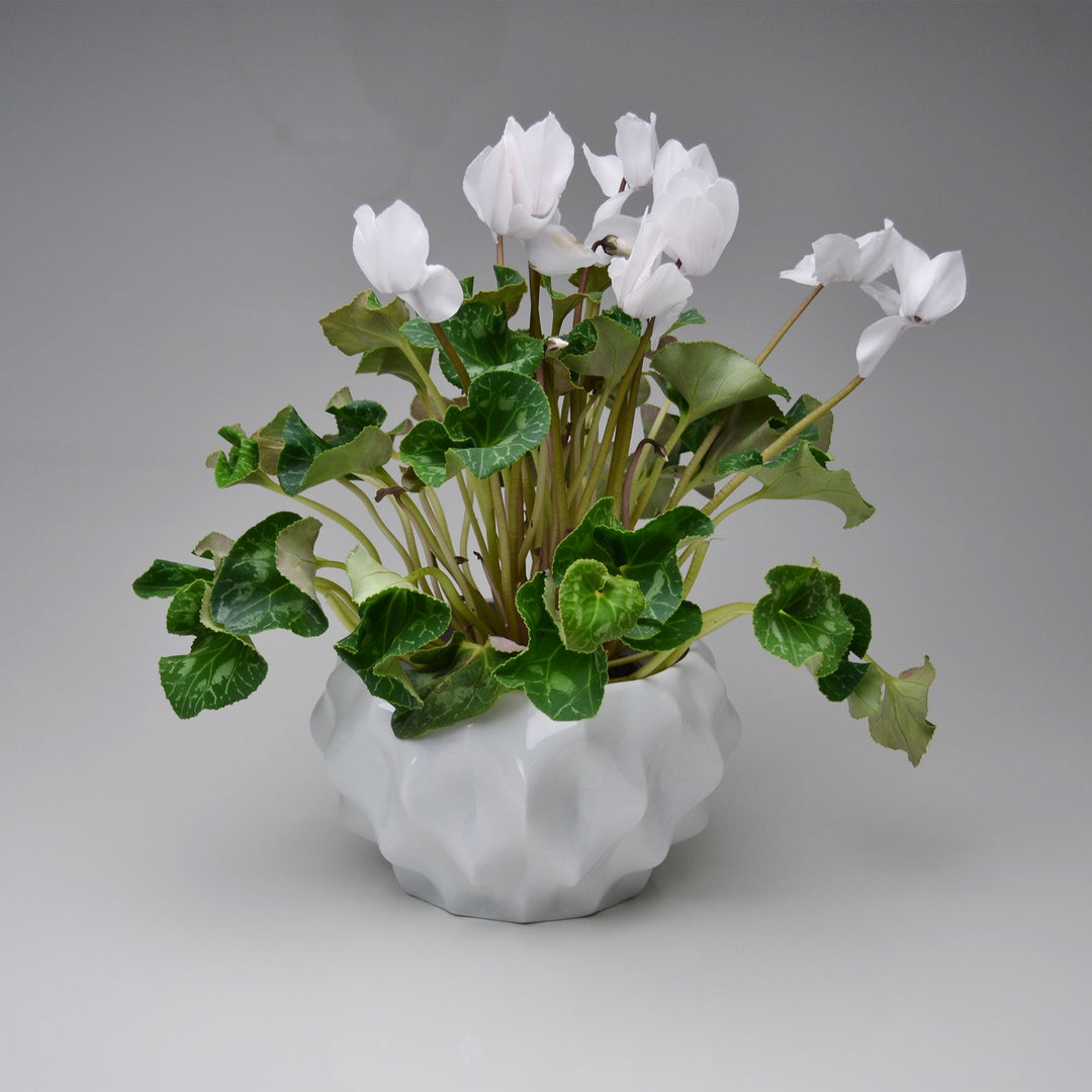 PLISSAN M - Porcelain FLOWER POT &amp; PLANTER - 21 cm ⦰ | Holaria