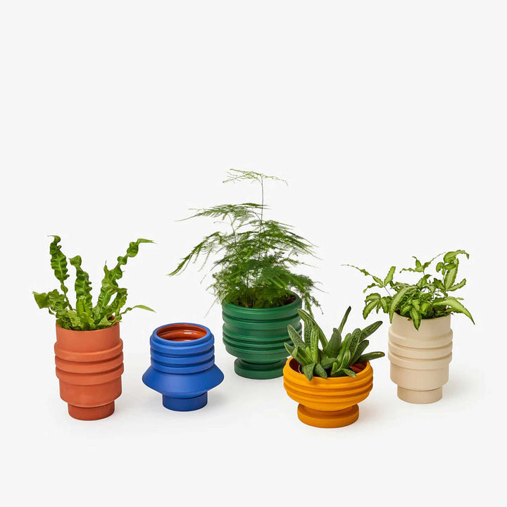 STRATA PLANT VESSEL - Cream-colored FLOWER POT &amp; PLANTER | Simone Brewster | Areaware