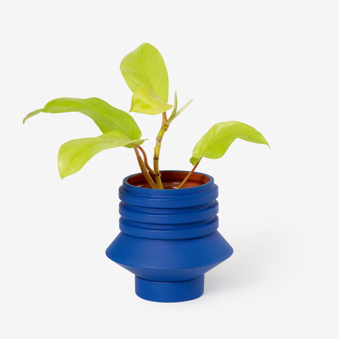 STRATA PLANT VESSEL - blue FLOWER POT &amp; PLANTER | Simone Brewster | Areaware