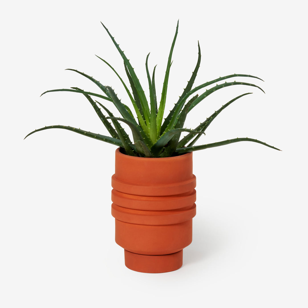 STRATA PLANT VESSEL - Terracotta colored FLOWER POT &amp; PLANTER | Simone Brewster | Areaware