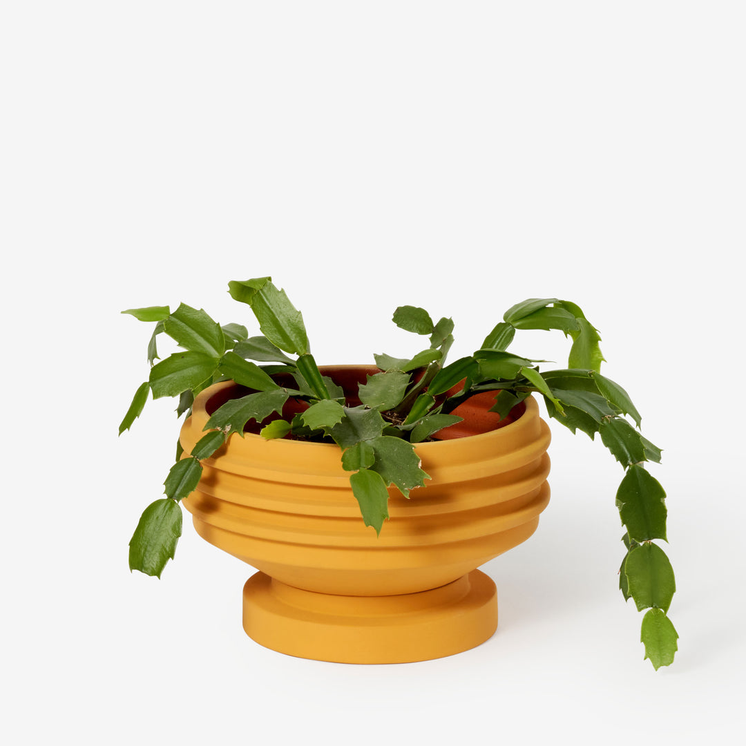 STRATA PLANT VESSEL - Yellow FLOWER POT &amp; PLANTER | Simone Brewster | Areaware