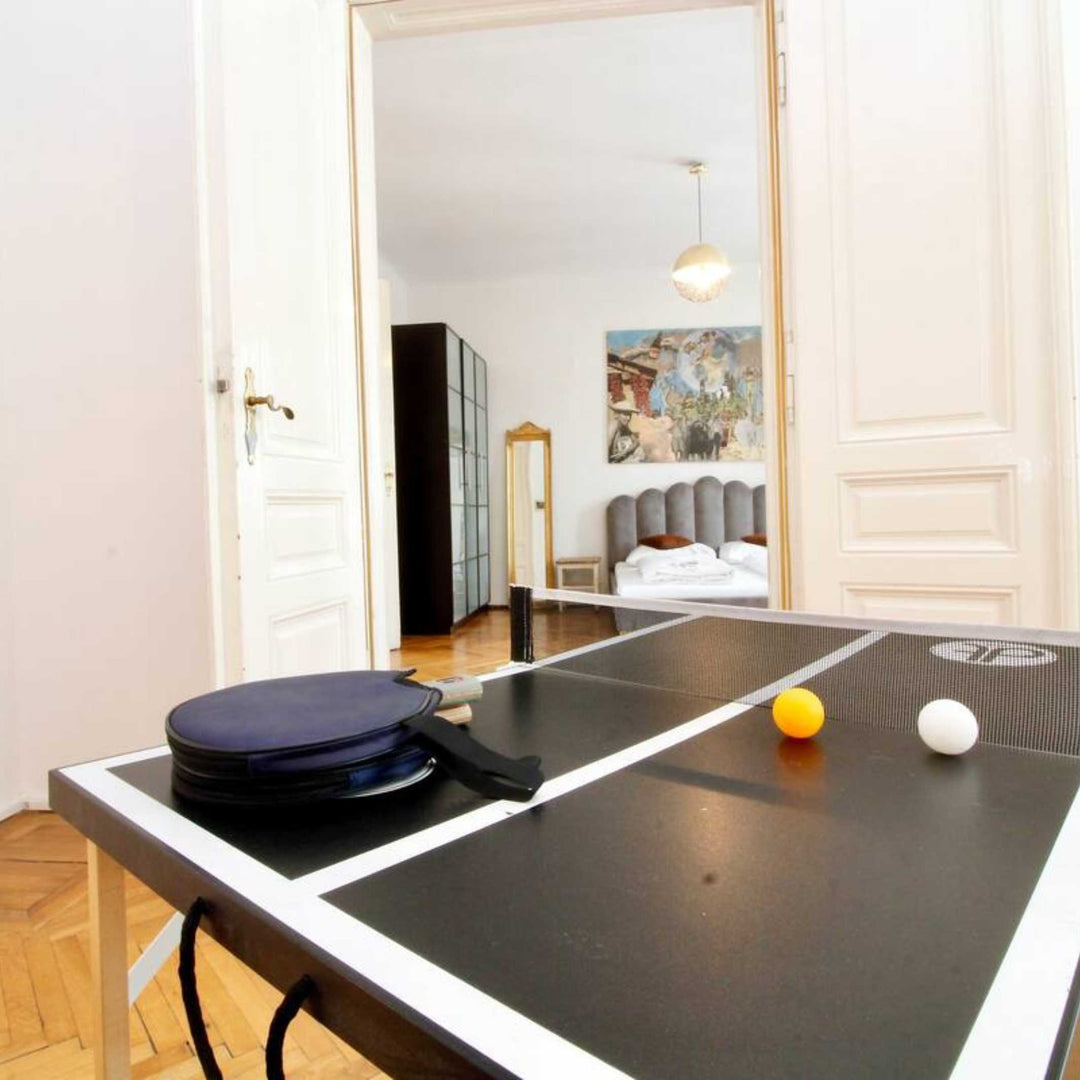 BLACK BEAUTY - mini table tennis table for everywhere | DISH TENNIS