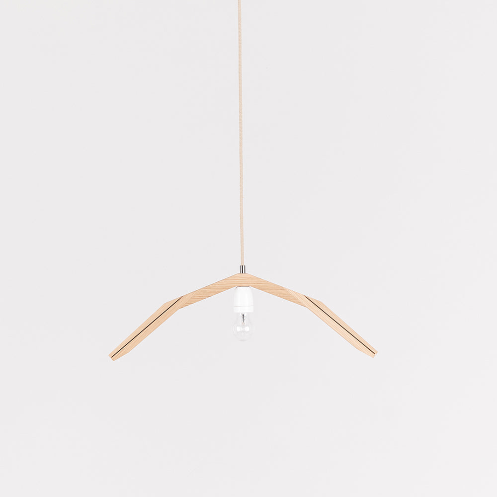 Hanging lamp '1411'