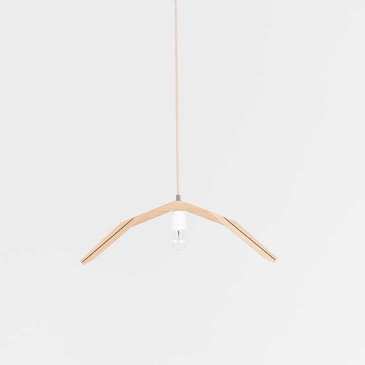 Hanging lamp '1411'