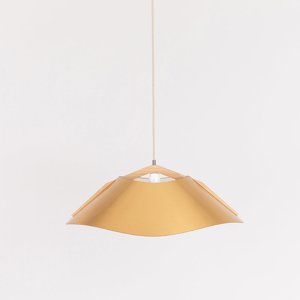 Hanging lamp '1411'