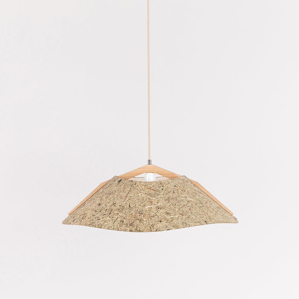 Hanging lamp '1411'