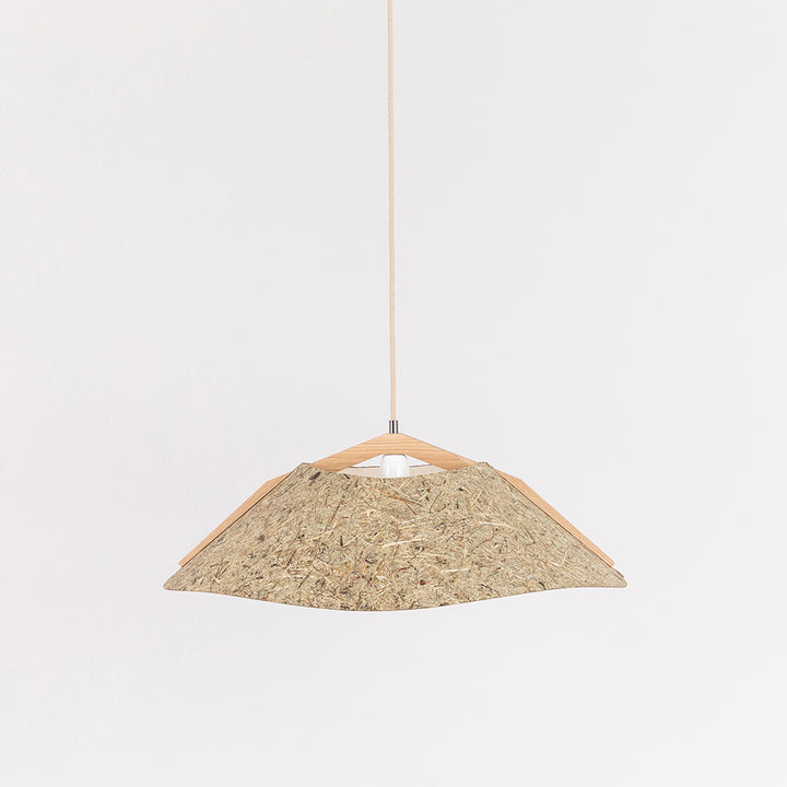 Hanging lamp '1411'