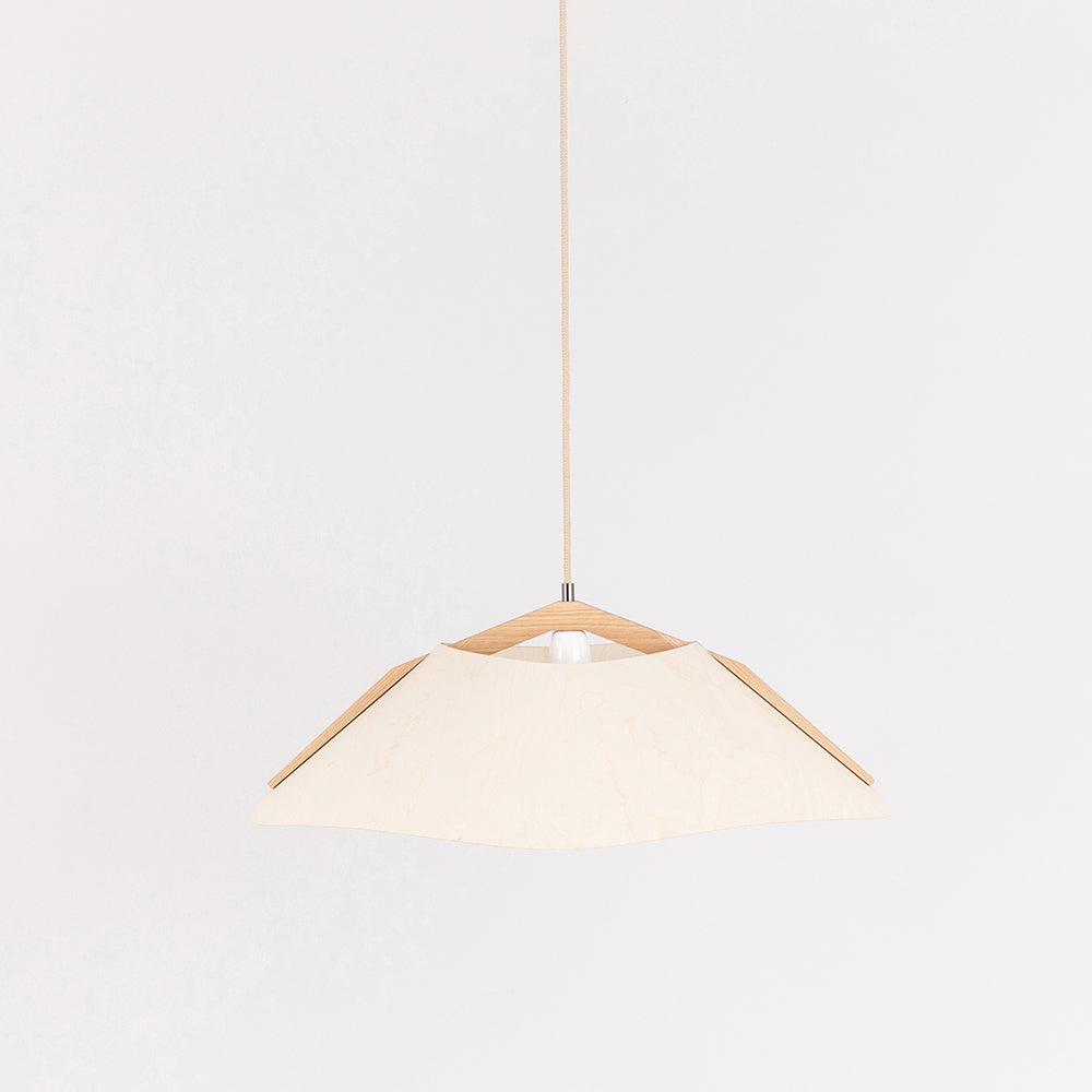 Hanging lamp '1411'