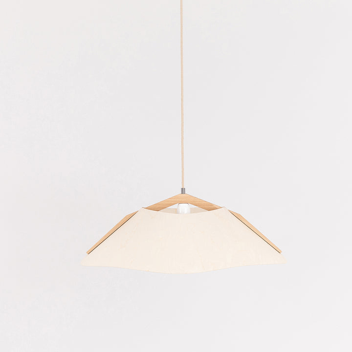 Hanging lamp '1411'