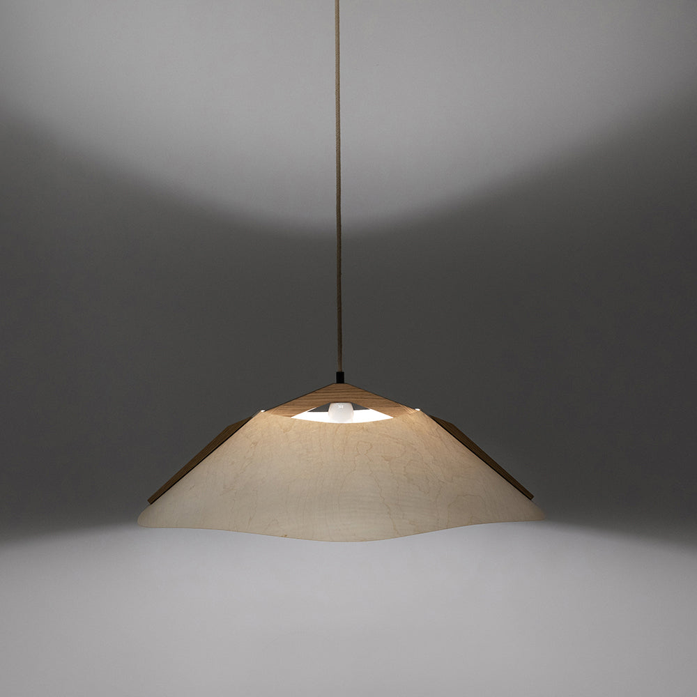 Hanging lamp '1411'