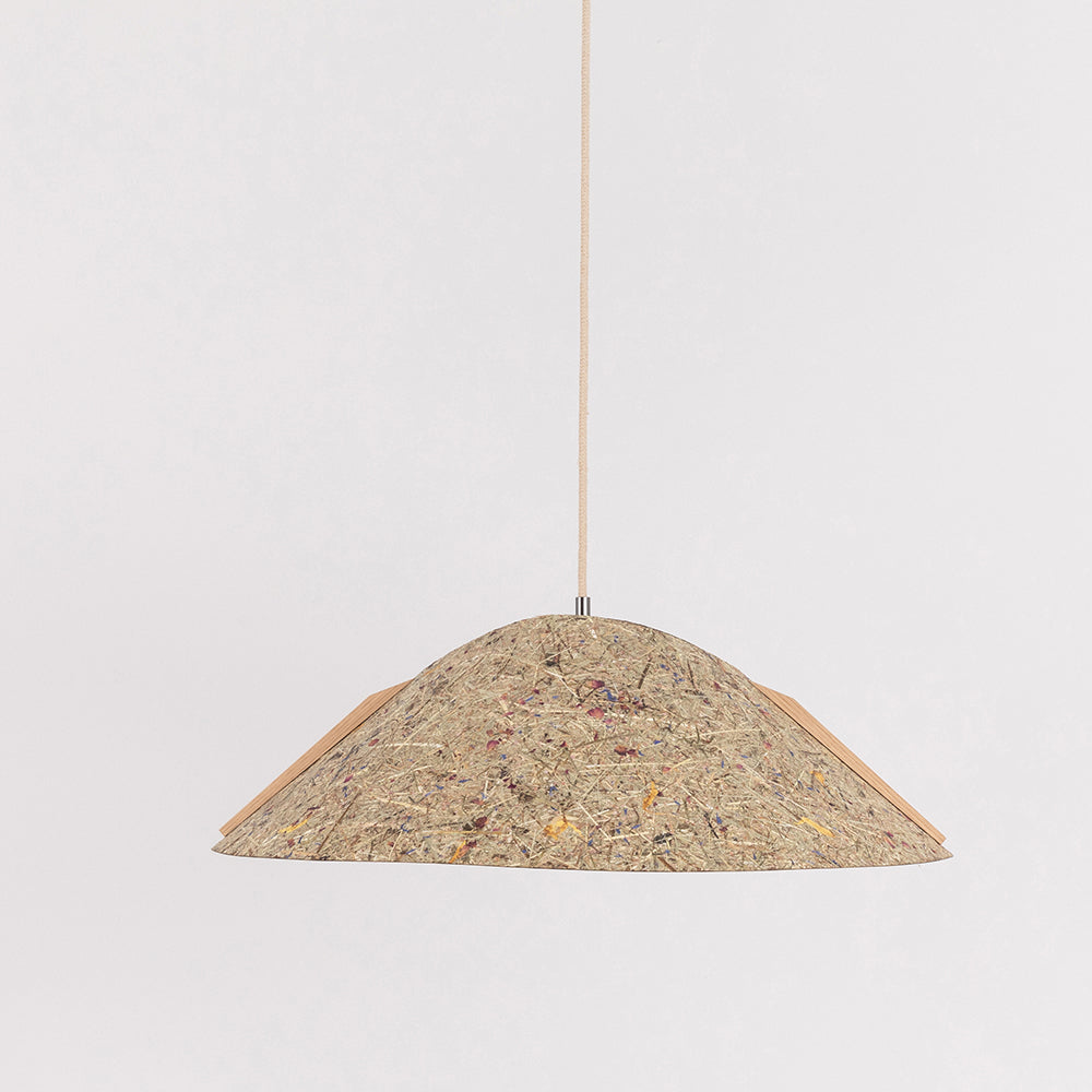 Hanging lamp '1411'