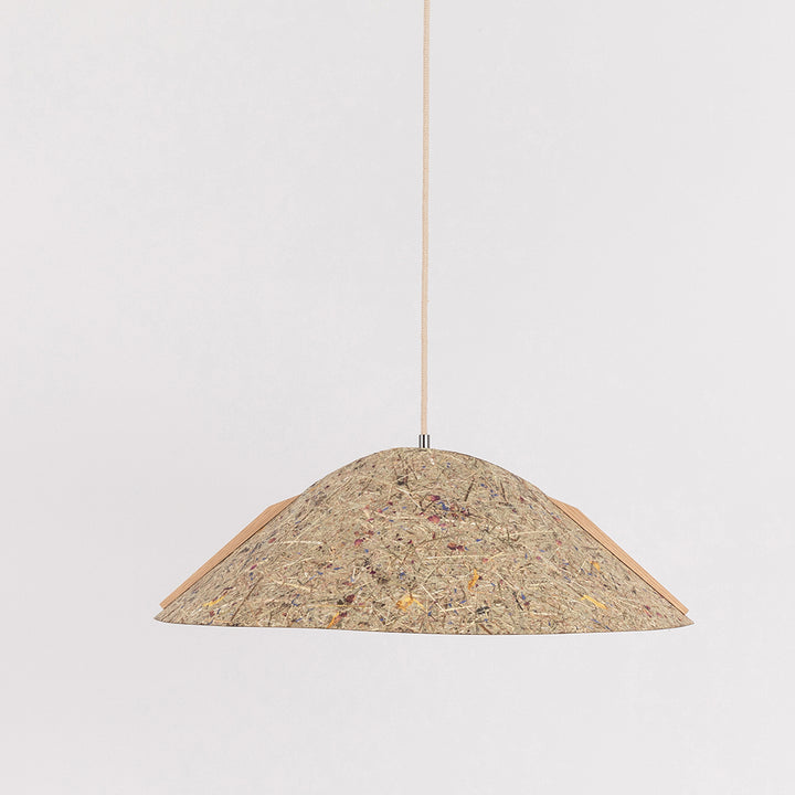 Hanging lamp '1411'