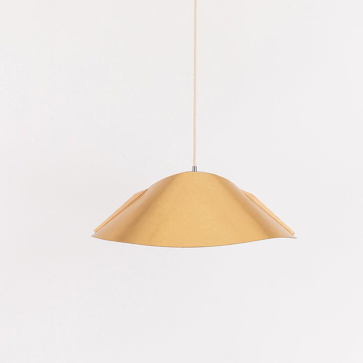 Hanging lamp '1411'