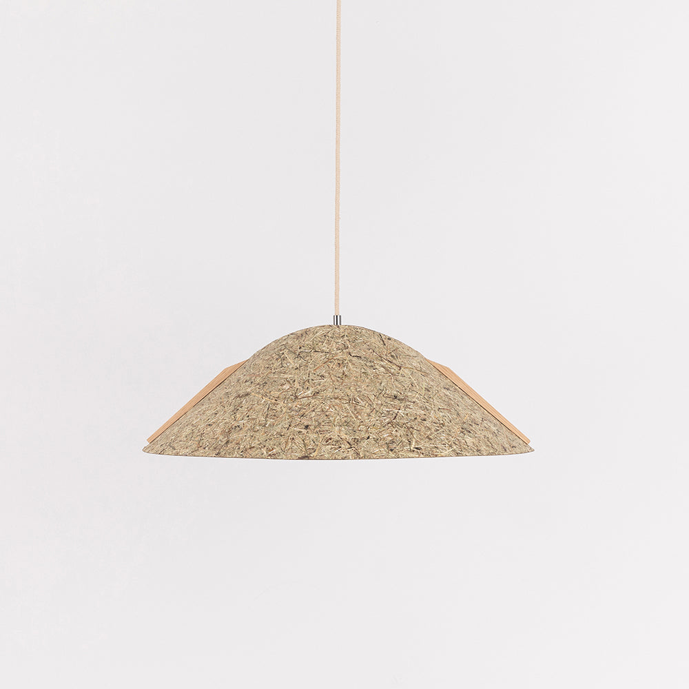 Hanging lamp '1411'