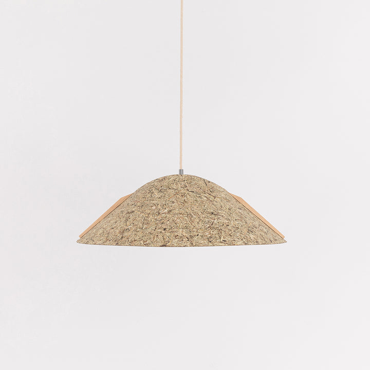 Hanging lamp '1411'