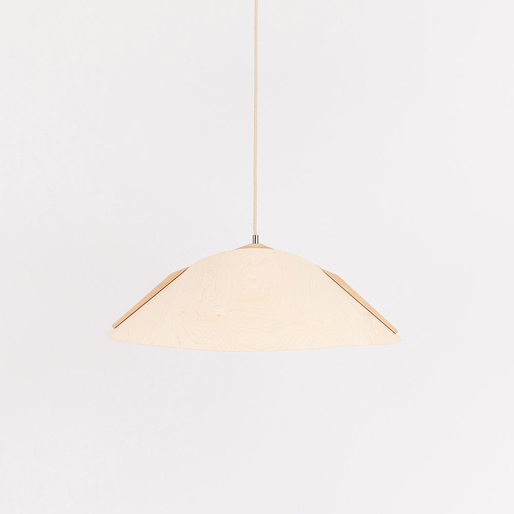 Hanging lamp '1411'