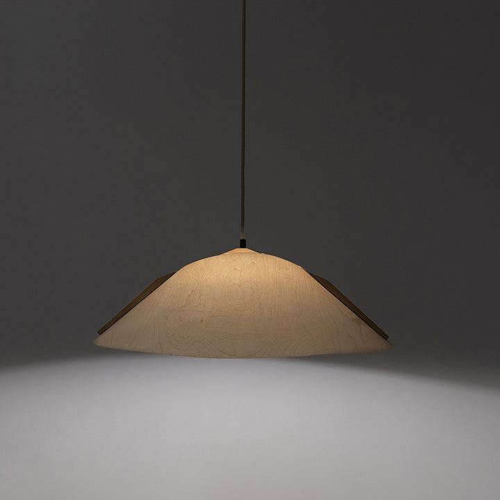 Hanging lamp '1411'