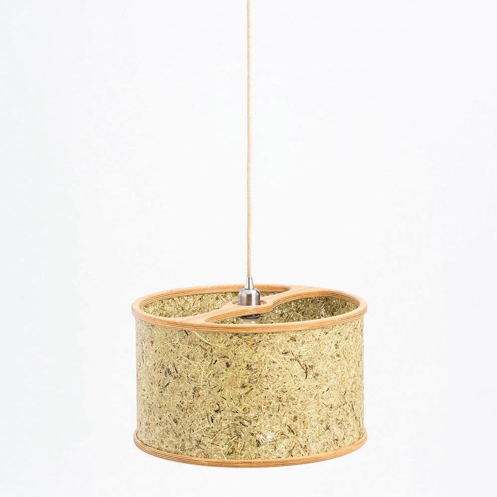 Hanging lamp '2610'