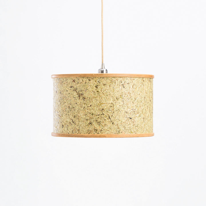 Hanging lamp '2610'