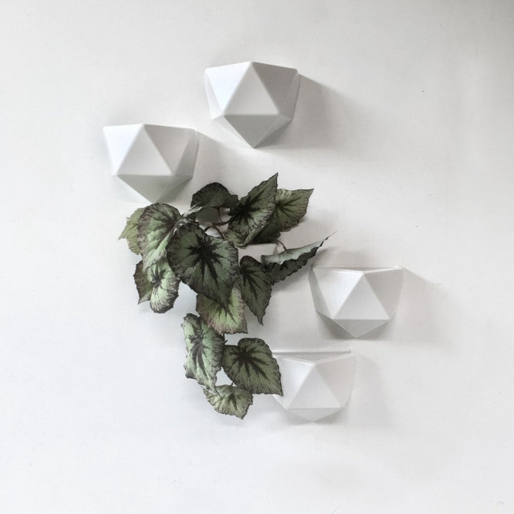 Magnetic flowerpot 'Ico' 