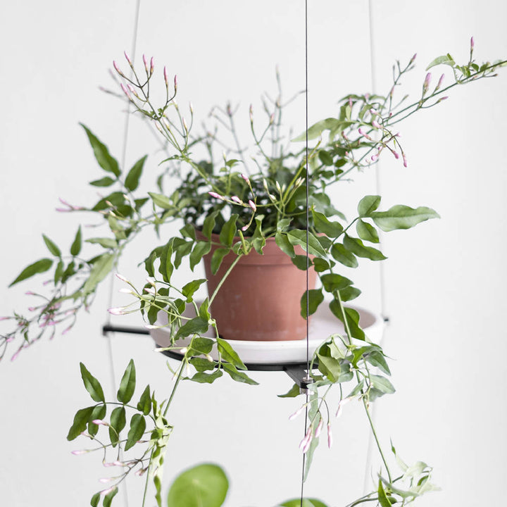 Plant basket 'ORBIT'