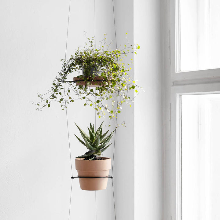 Plant basket 'ORBIT'