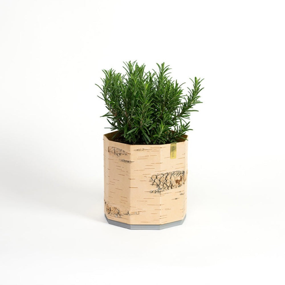 Planter 'Tara'