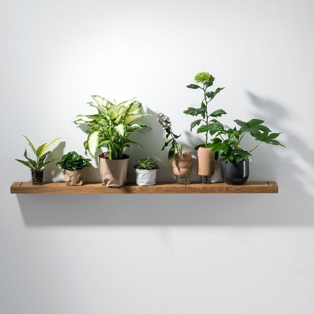 Wall shelf 'Oak'