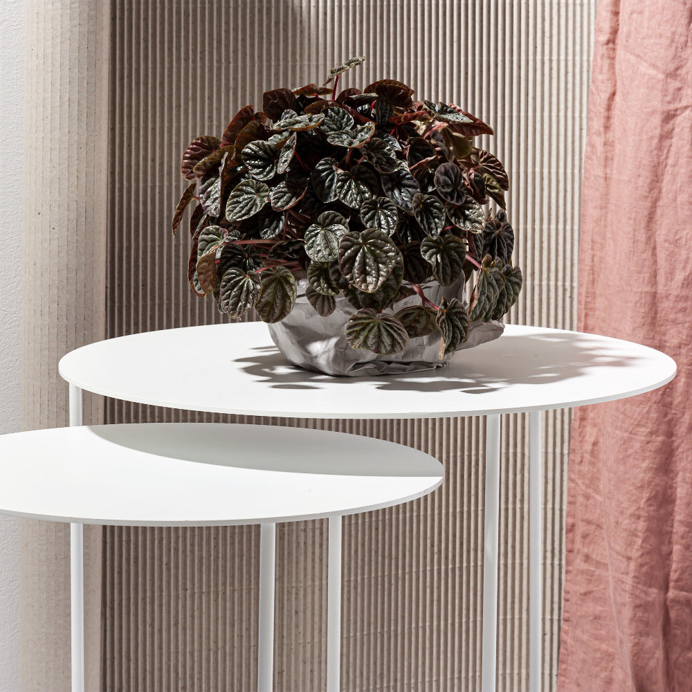 Side table 'Solid 03'