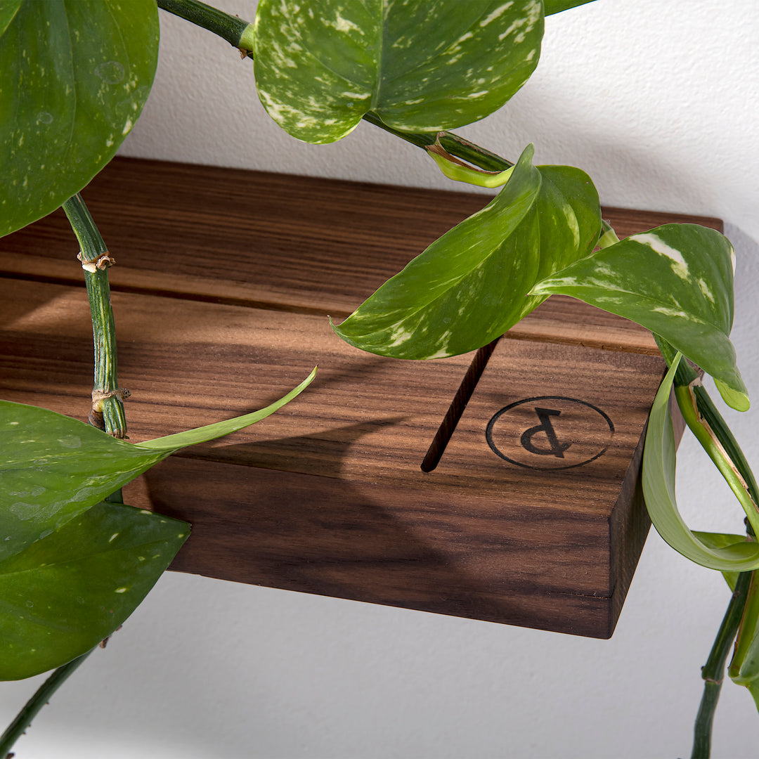 Wall shelf 'Walnut 01' for solid walls