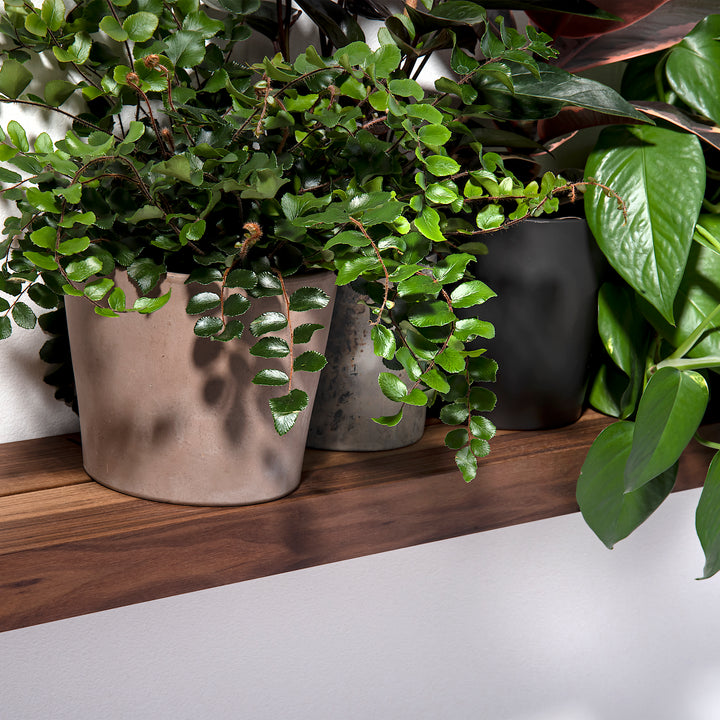 Wall shelf 'Walnut 01' for solid walls